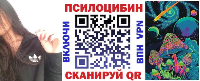 OMG ТОР  Алзамай  Галлюциногенные грибы Psilocybe 